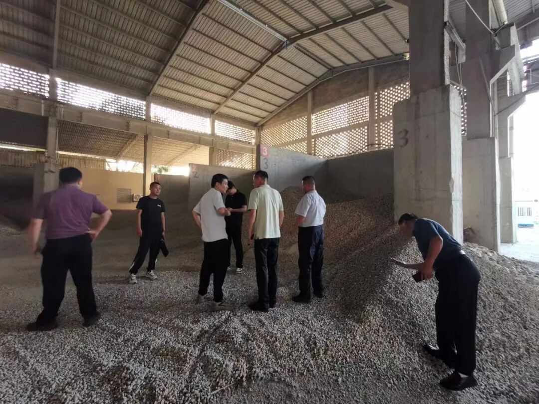 manufactured sand production line