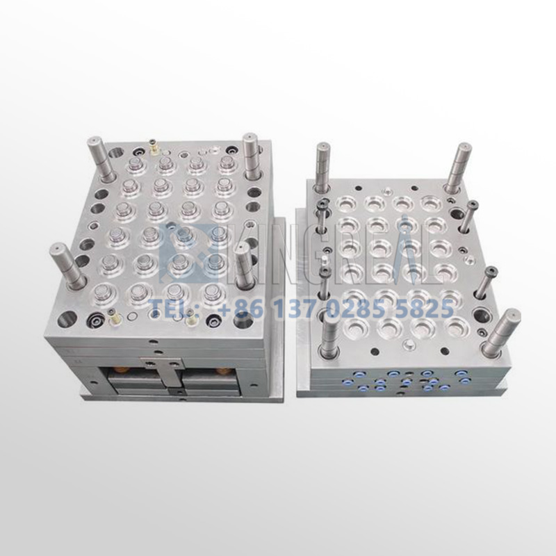 Plastic Bottle Cap Injection Mould