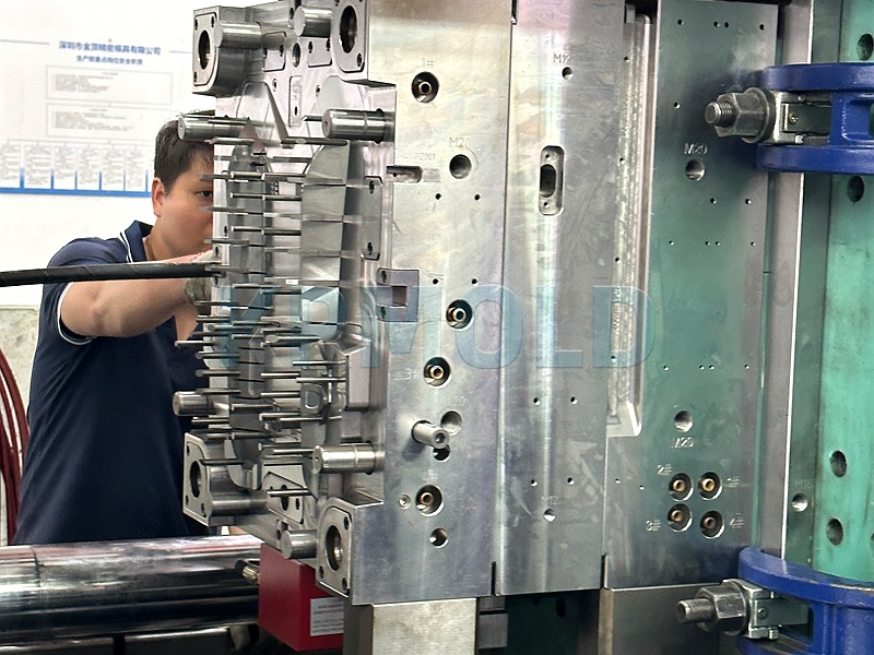 Double Shot Molding Services