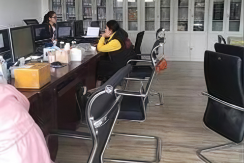 Hubei Haidi Trading Co., Ltd.