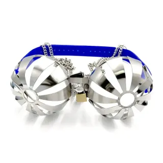 Modischer Keuschheitsgürtel-BH, BDSM, Bondage, Keuschheitsgürtel, Zubehör aus Edelstahl, verstellbare Büstenhalter-Rückhaltevorrichtung für Frauen