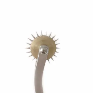 セックス製品 ボンデージ玩具 セックス玩具 / 刺激ホイール 奴隷 女性 犬用品 ツール 同志 刺激 乳房 ペニス 舌