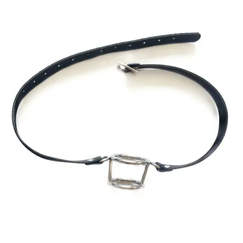 Stainless Steel Double Ring Gag Open Mouth Gag Bdsm Bondage Restraints Mouth Flail Bondage Gag Fetish Adult Games for Couples