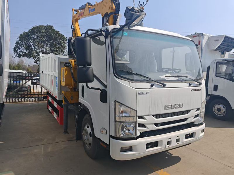 4 * 2 Qingling Mini Car Grab