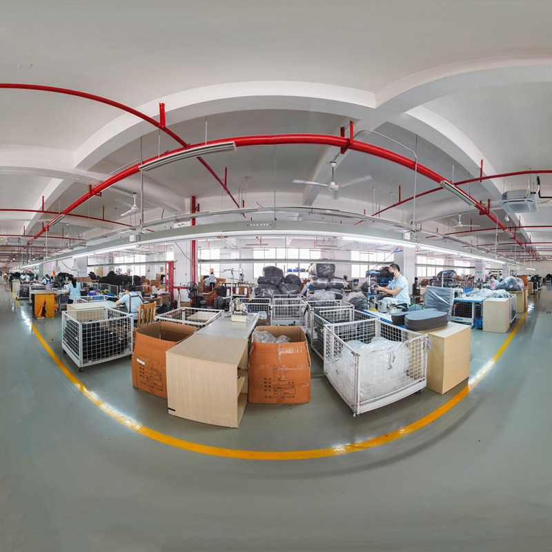 Pet Braces Medical Products Workshop