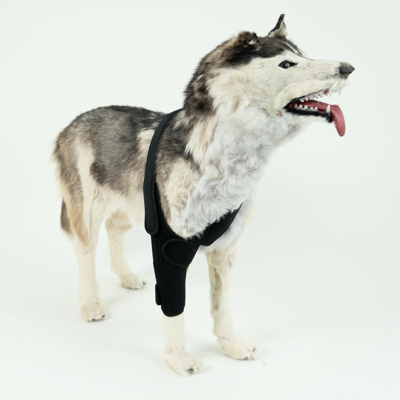 Dog Leg Support Brace For Arthritis