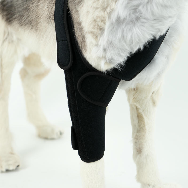 Dog Leg Support Brace For Arthritis