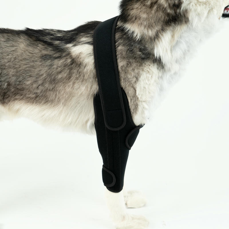 Dog Leg Support Brace For Arthritis