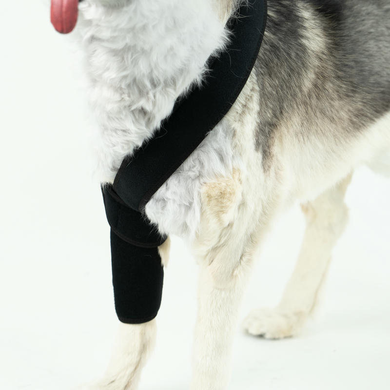 Dog Leg Support Brace For Arthritis