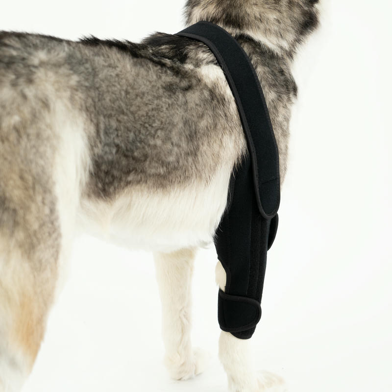Dog Leg Support Brace For Arthritis