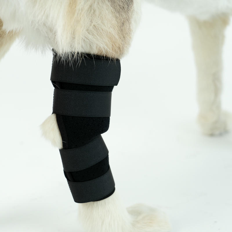Hock Support Brace For Dog Arthritis Injury
