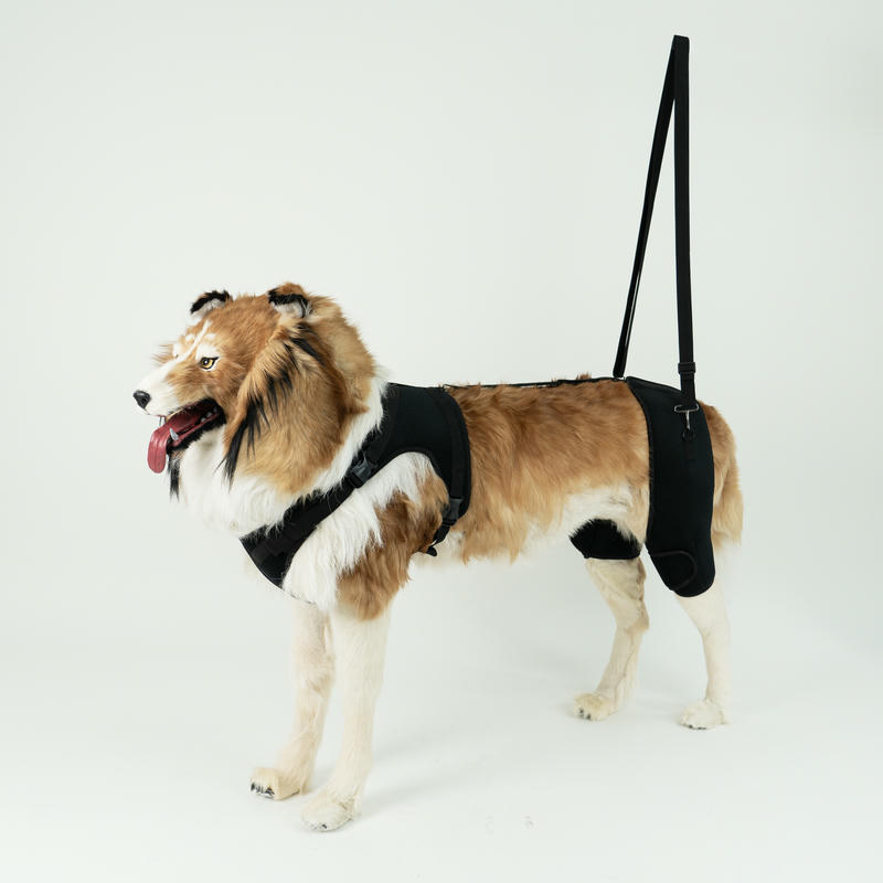 Dog Hip Support Brace For Dysplasia Arthritis