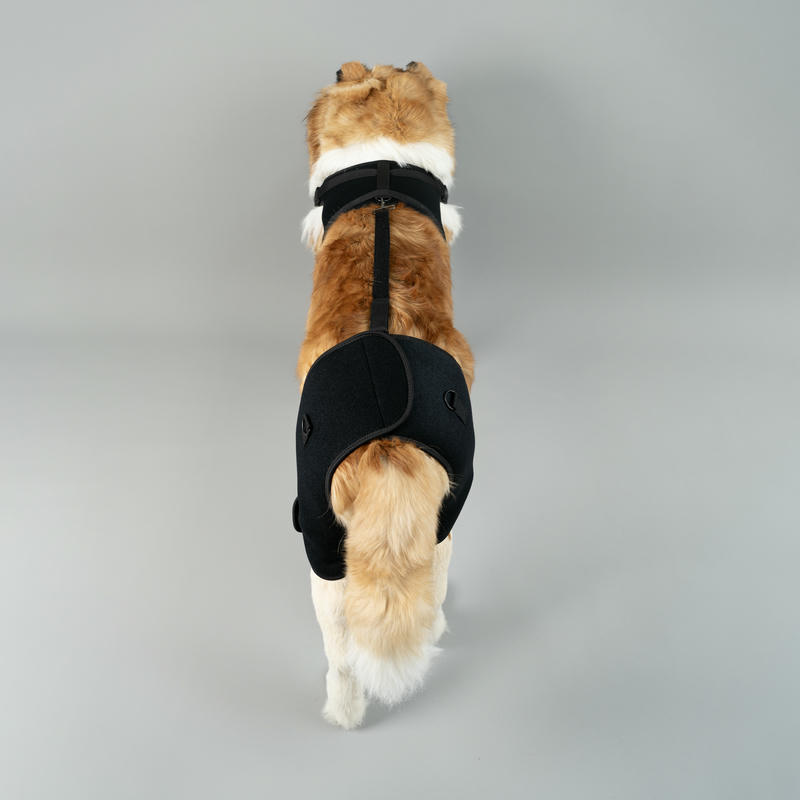 Dog Hip Support Brace For Dysplasia Arthritis