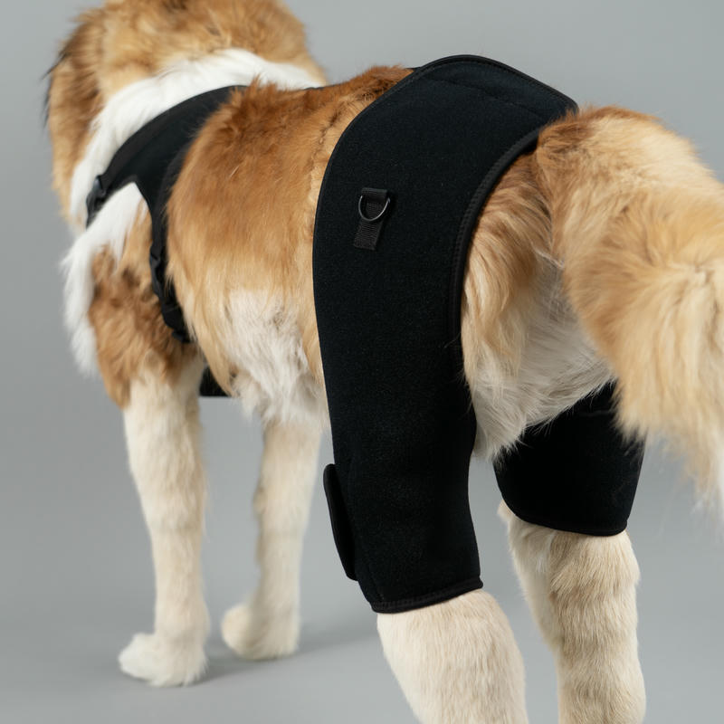 Dog Hip Support Brace For Dysplasia Arthritis