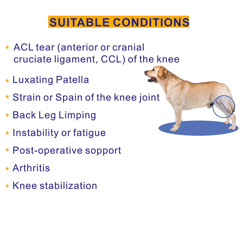 Dog Knee Brace For Torn Acl Arthritis