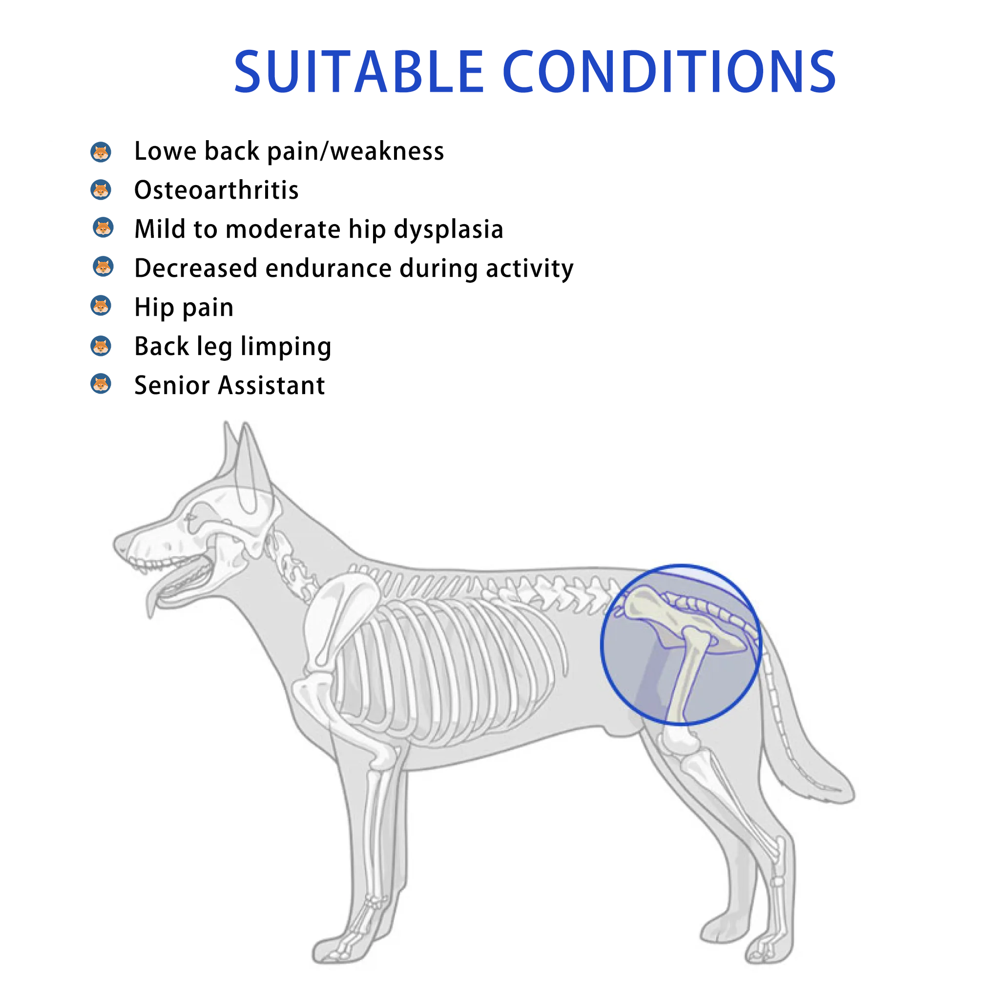 Dog Hip Support Brace For Dysplasia Arthritis