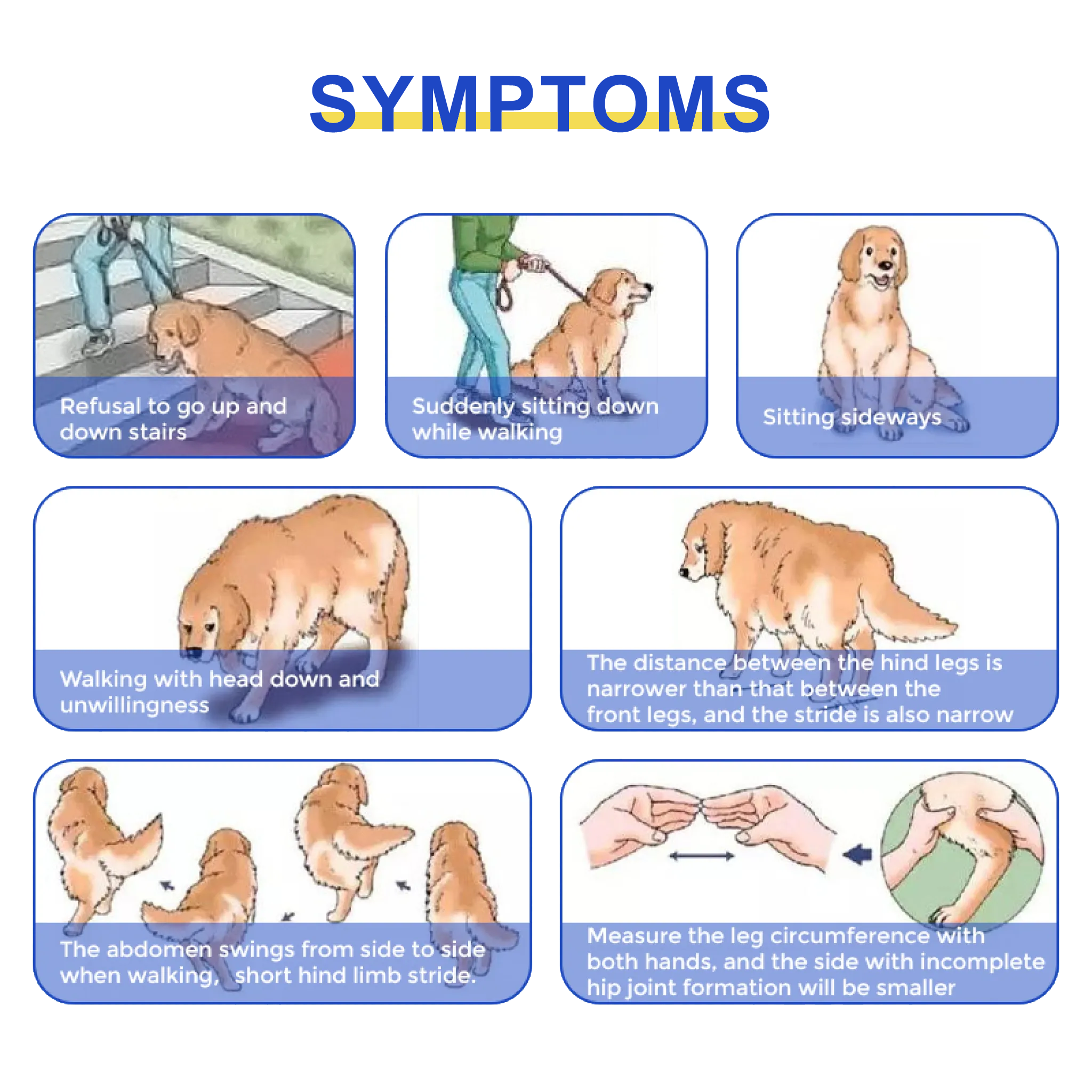 Dog Hip Support Brace For Dysplasia Arthritis