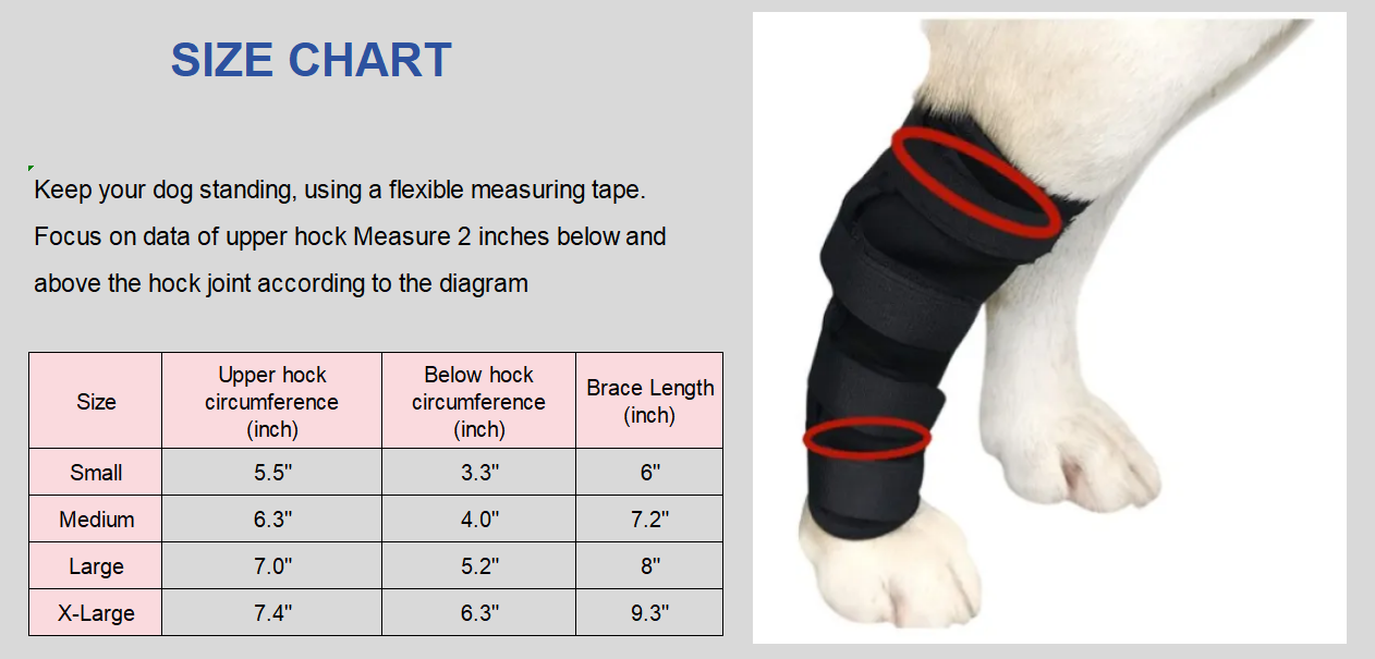 hock wraps for dogs