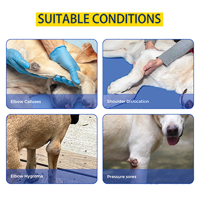 Dog Hinged Double Elbow Shoulder Brace