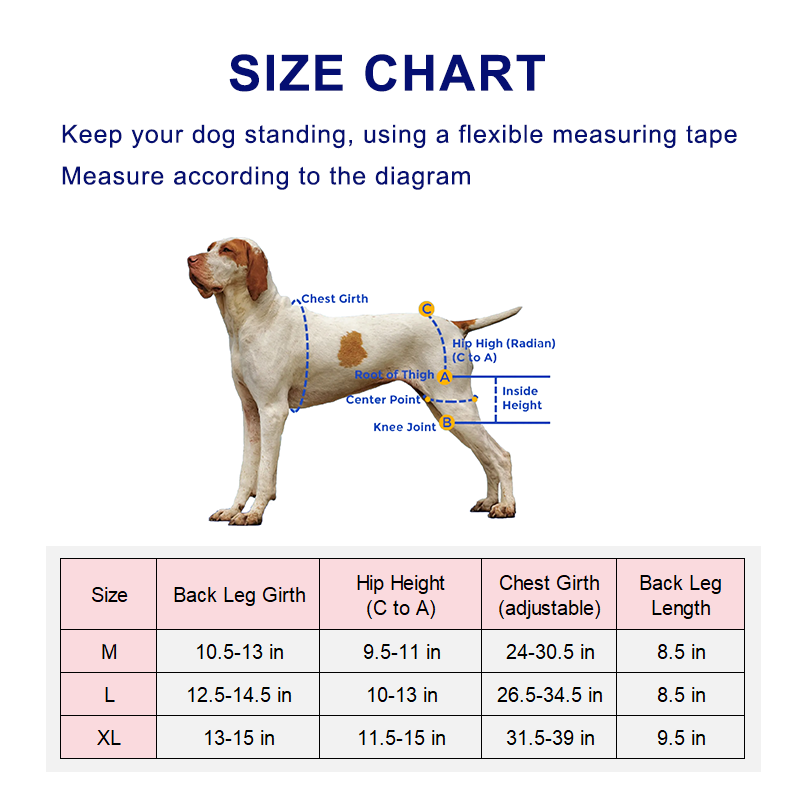 Dog Torn Acl Knee Brace With Hinged Support