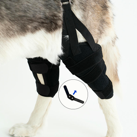 dog brace for torn acl