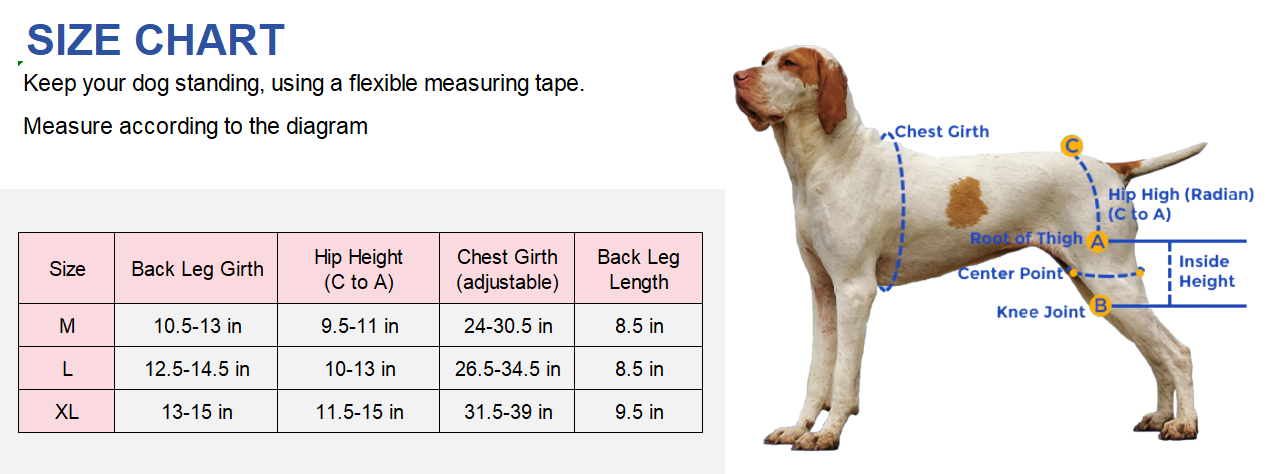 hinged knee brace for dogs