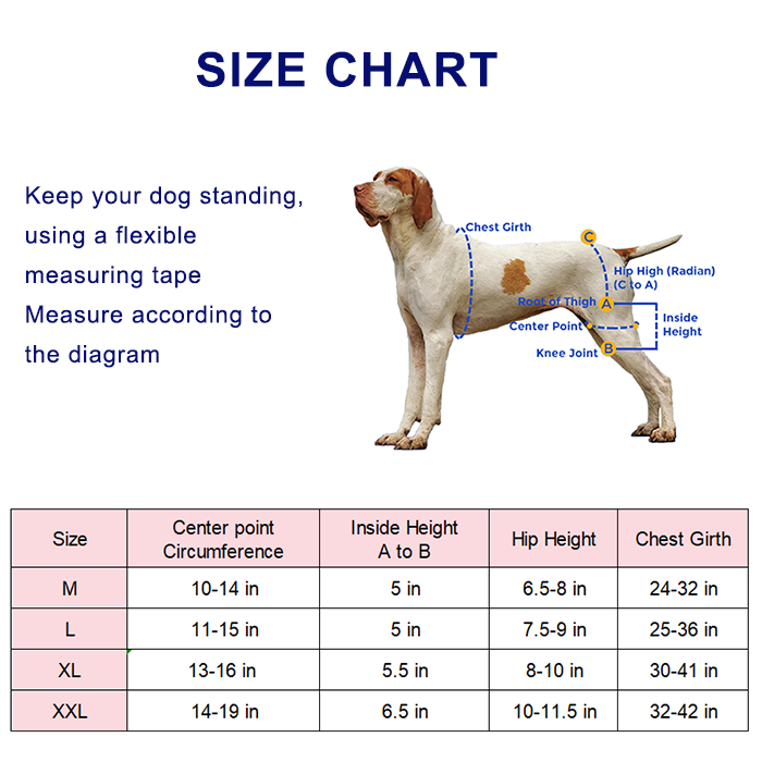 Dog Hip Support Brace For Dysplasia Arthritis