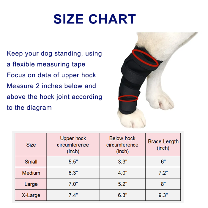 Hock Support Brace For Dog Arthritis Injury