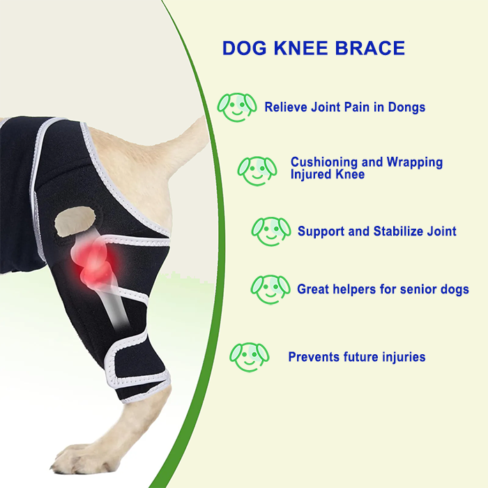 Dog Four-Legged Universal Arthritis Knee Brace