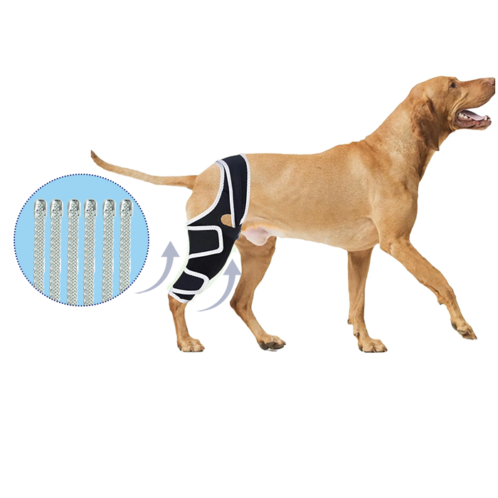 Dog Four-Legged Universal Arthritis Knee Brace