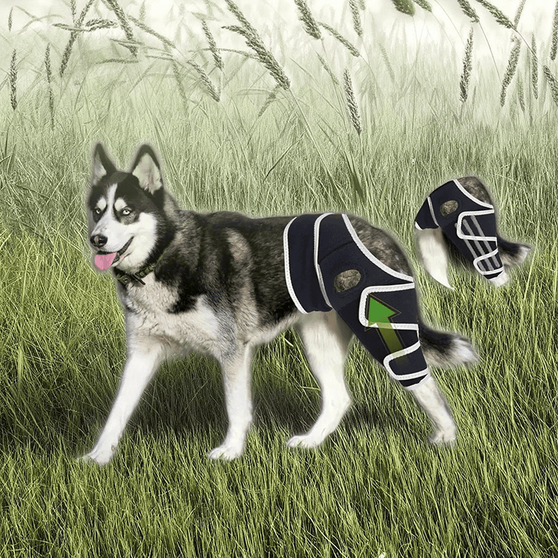 Dog Four-Legged Universal Arthritis Knee Brace