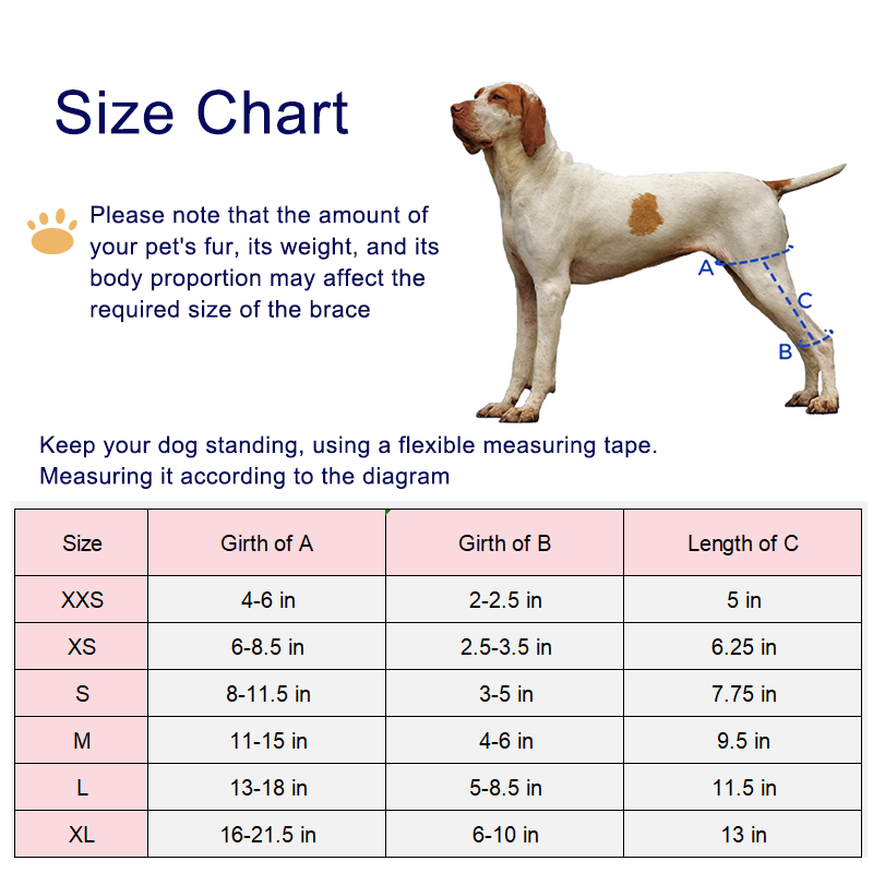 Hinged Dog Leg Brace For Torn ACL Injury