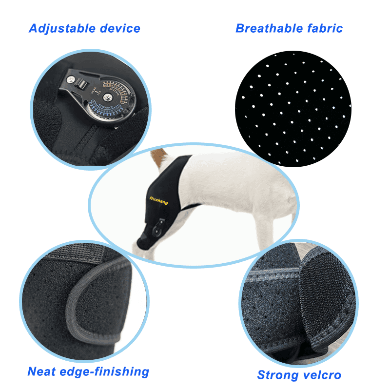 Adjustable Dog Acl Brace For Arthritis Injury