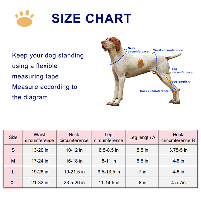 Adjustable Dog Acl Brace For Arthritis Injury