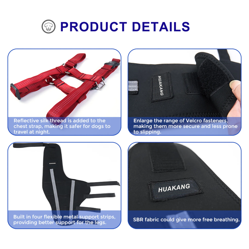 Luxating Patella In Dogs Torn Acl Brace