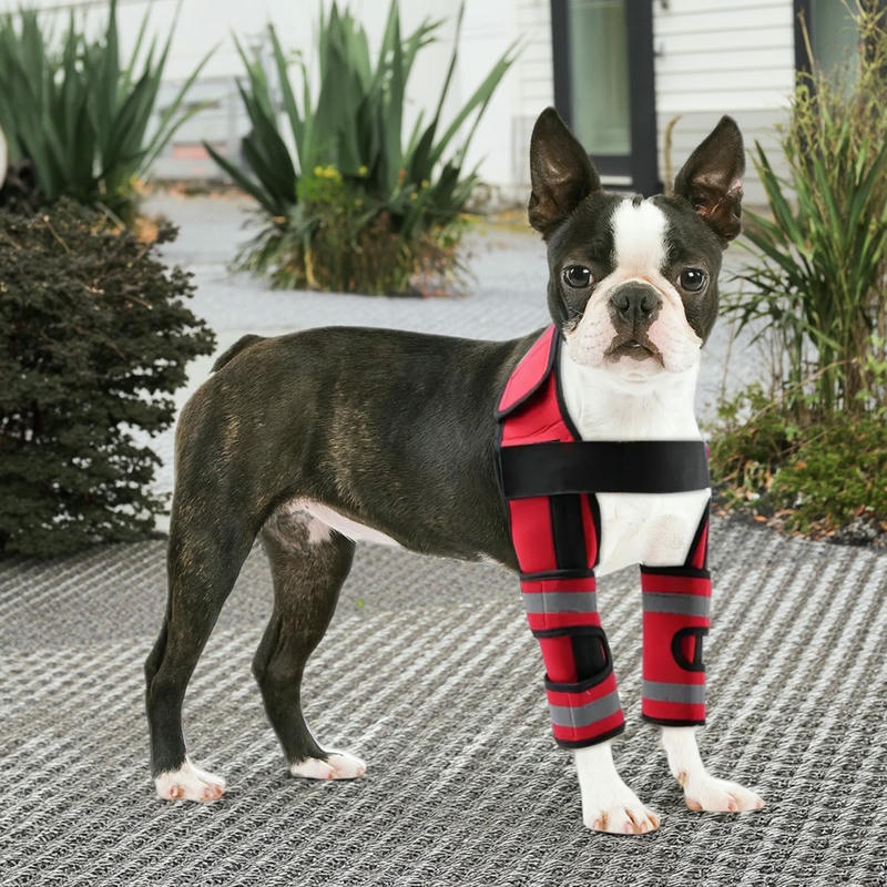Hinged Dog Shoulder Support Brace
