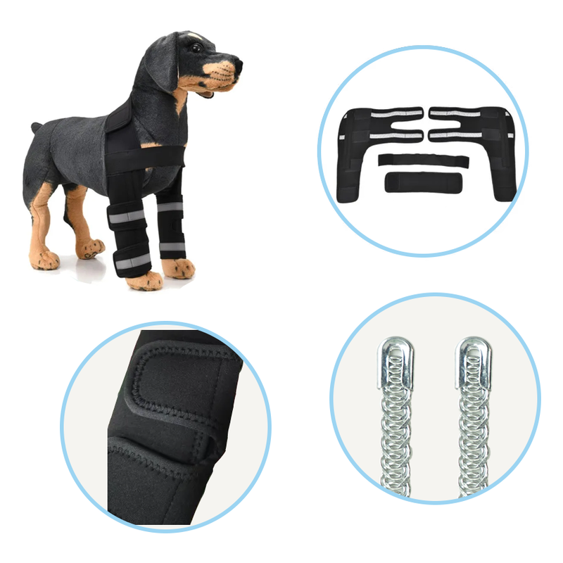 Hinged Dog Shoulder Support Brace