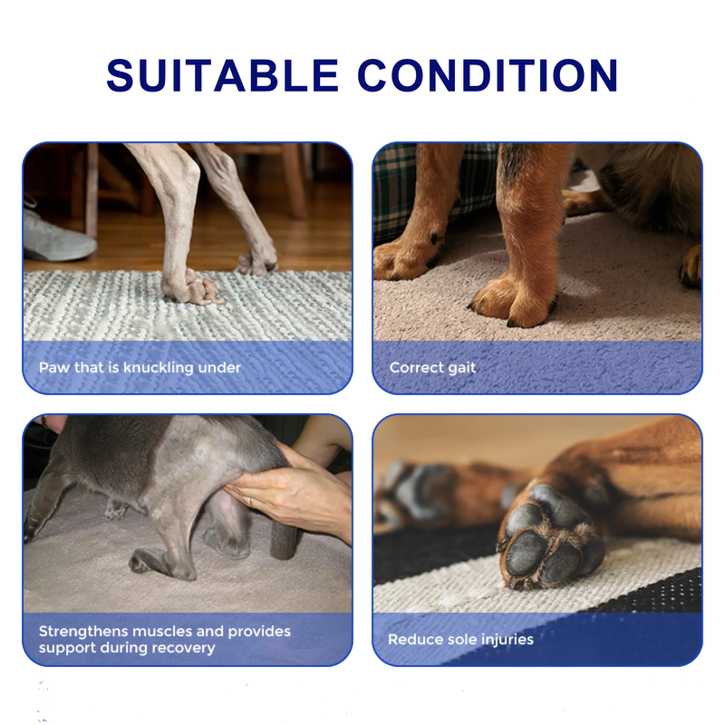 Extra Supportive Dog Hock Warp Brace