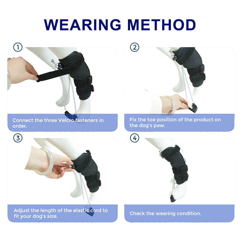 Extra Supportive Dog Hock Warp Brace