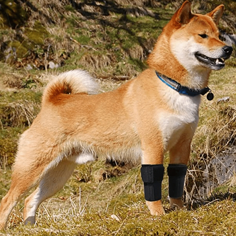 Dog Wrist Brace