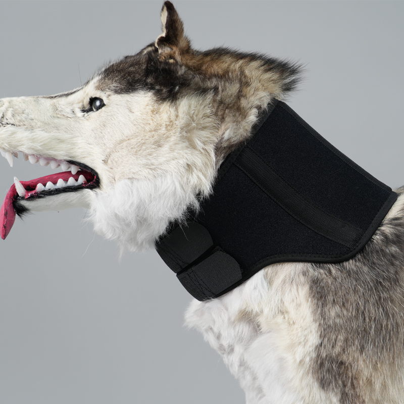 Dog Neck Brace