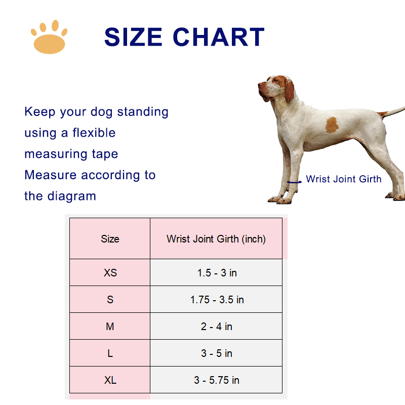 Dog Front Leg No-Knuckling Training Brace
