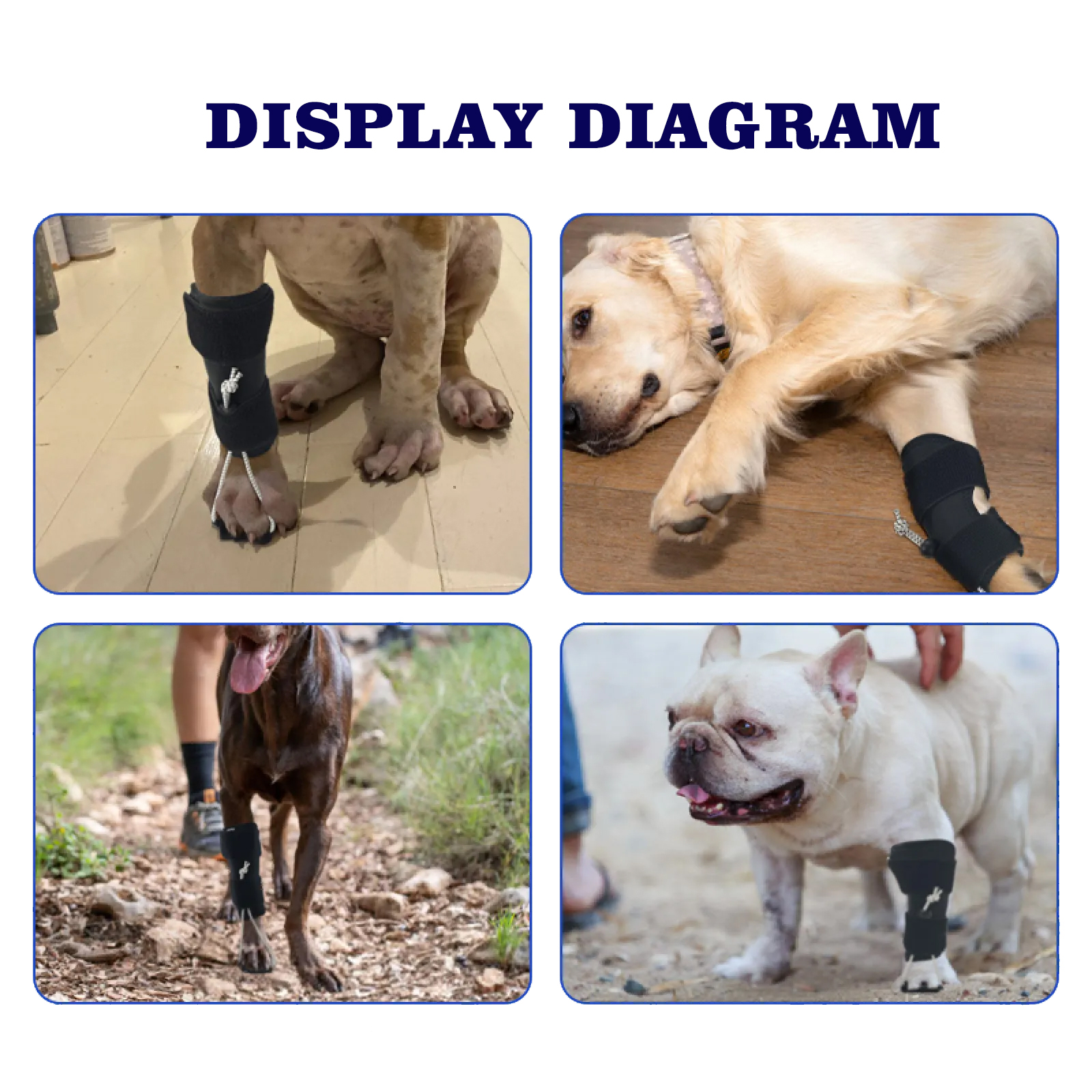 Dog Front Leg No-Knuckling Training Brace