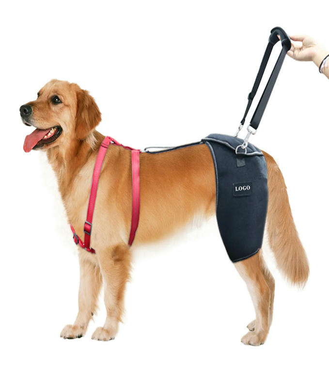 Dog Support Brace For Hip And Knee With Arthritis