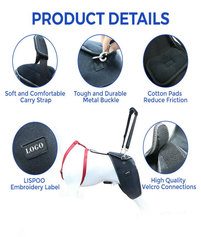 Dog Support Brace For Hip And Knee With Arthritis