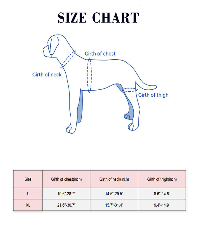 Dog Support Brace For Hip And Knee With Arthritis