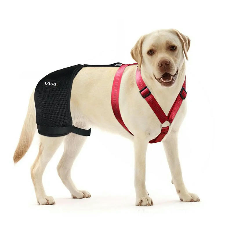 Dog Brace Support For Hip With Dysplasia Arthritis
