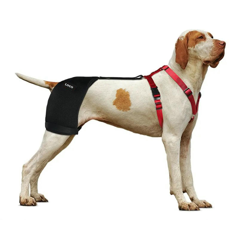 Dog Brace Support For Hip With Dysplasia Arthritis