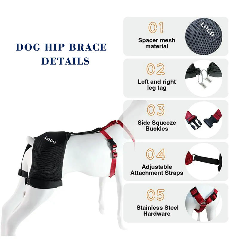 Dog Brace Support For Hip With Dysplasia Arthritis