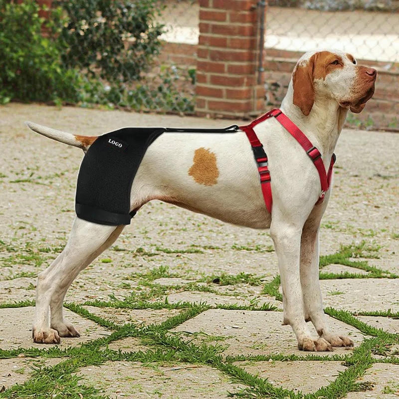 Dog Brace Support For Hip With Dysplasia Arthritis
